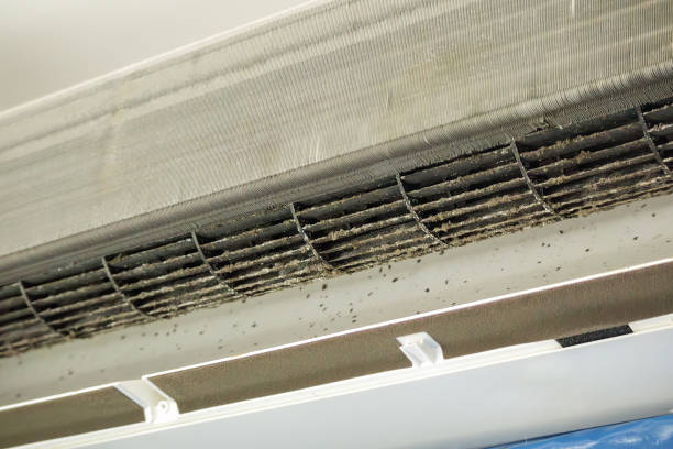 Best Professional Duct Cleaning Services  in Ingalls Park, IL
